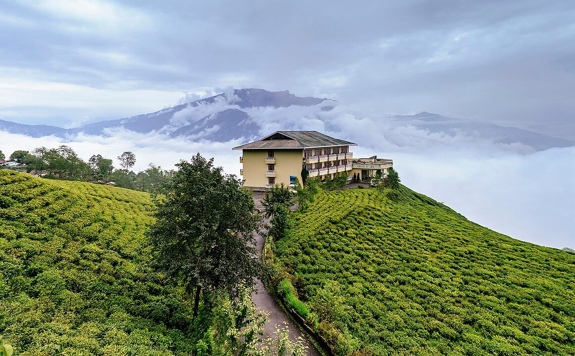 1161px-Cherry_Resort_inside_Temi_Tea_Garden,_Namchi,_Sikkim