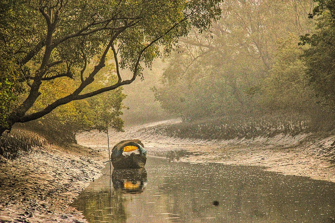 1080px-Save_the_sundarbans_20