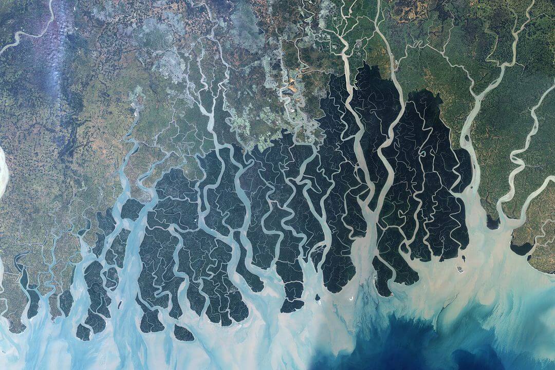 1080px-Sundarbans