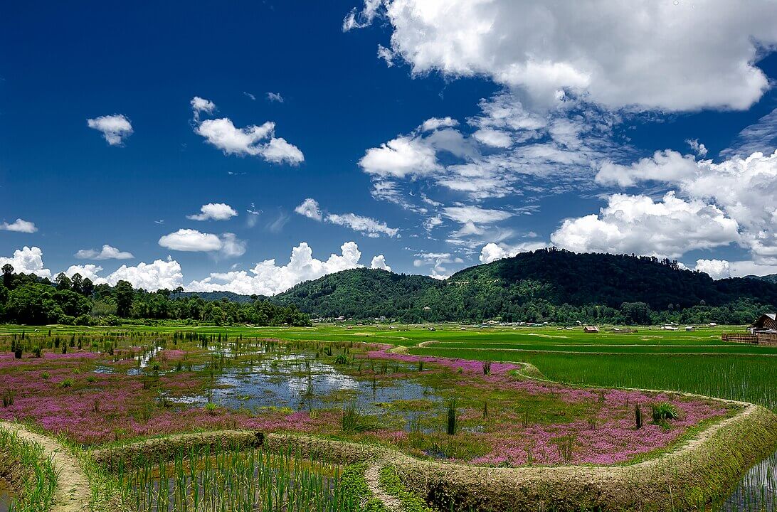 1092px-Ziro_valley_of_Aruncahl_in_summer_season