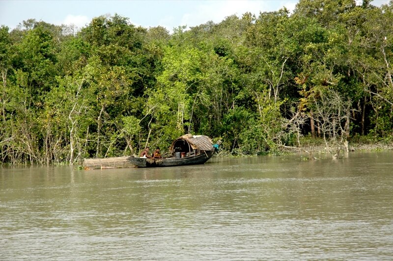 Boat,_trees_and_water_in_Sundarbans