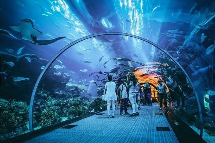 singapore aquarium