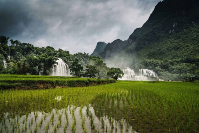 Vietnam