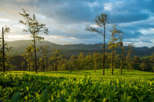 Best Places to Visit in India During Summer with Family