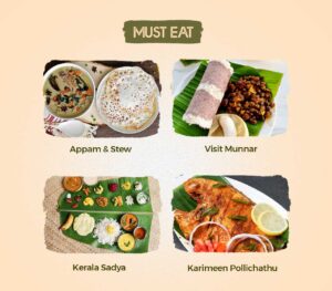 Things to do in Kerala 